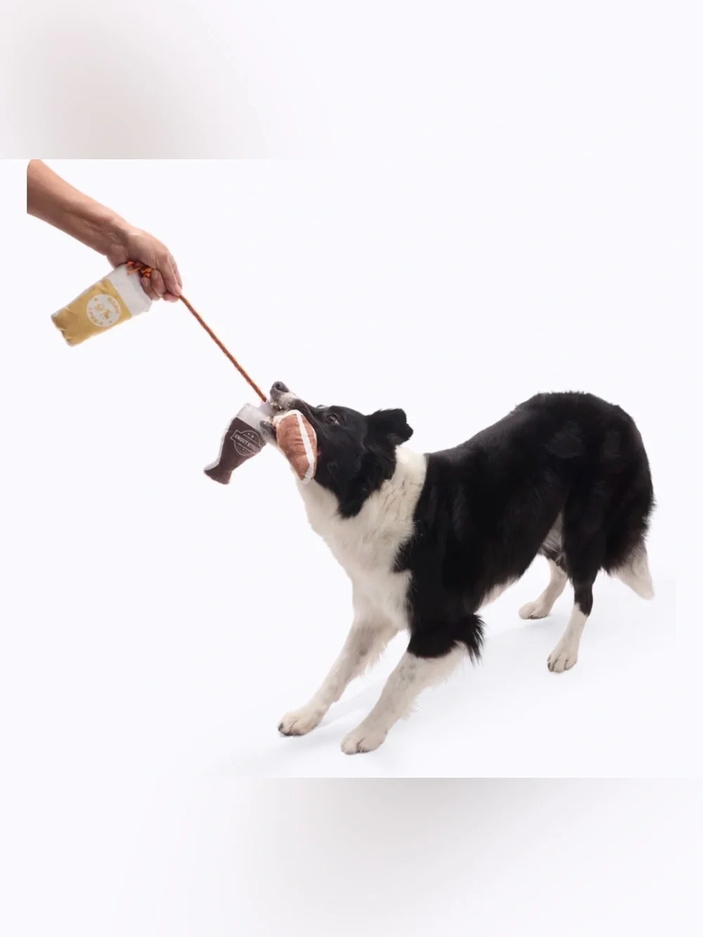 Bark Box Tug o Beers NEW Dog toy M-L squeaky beers on a rope